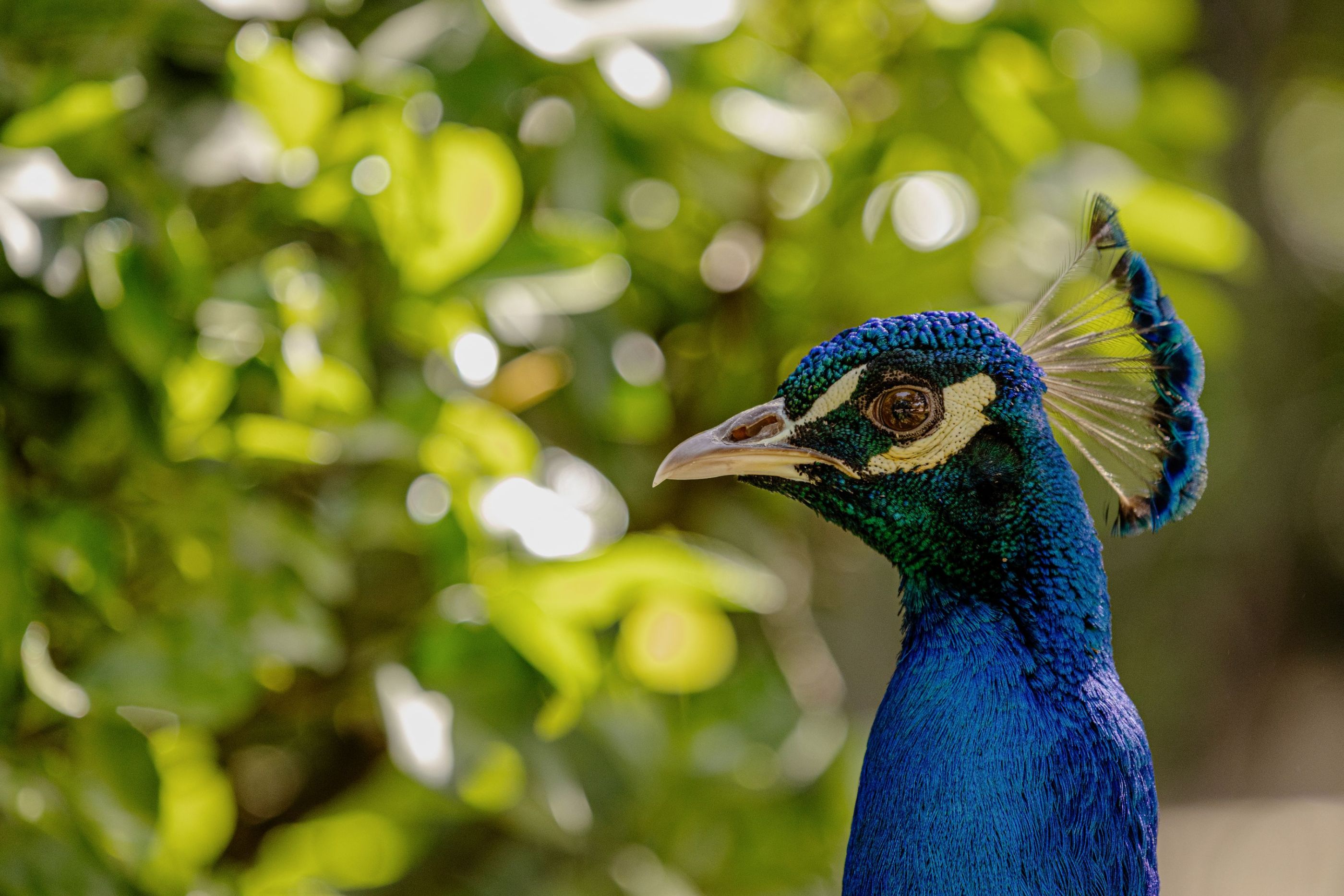 4 Campo Grande abril 2026 3-05042026-9P3A6109